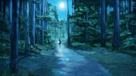 Moonlit path through pine forest